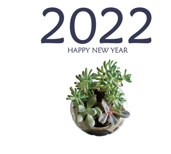 Transparent New Year Plant Cactus Flowerpot for Happy New Year 2022 for New Year