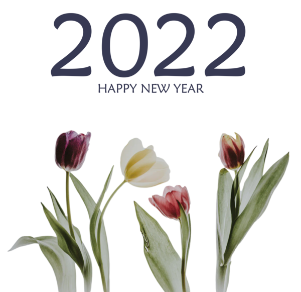 Transparent New Year 2022 2025 2028 for Happy New Year 2022 for New Year
