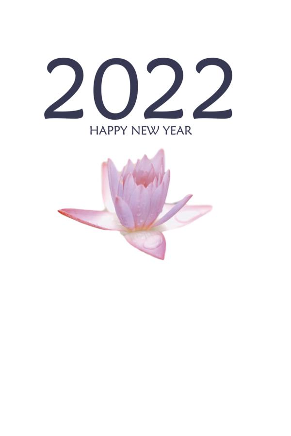Transparent New Year Cut flowers Flower Petal for Happy New Year 2022 for New Year
