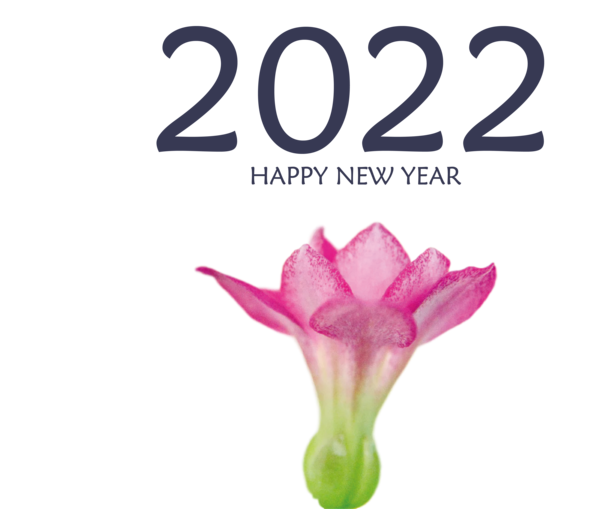 Transparent New Year Cut flowers Petal Meter for Happy New Year 2022 for New Year