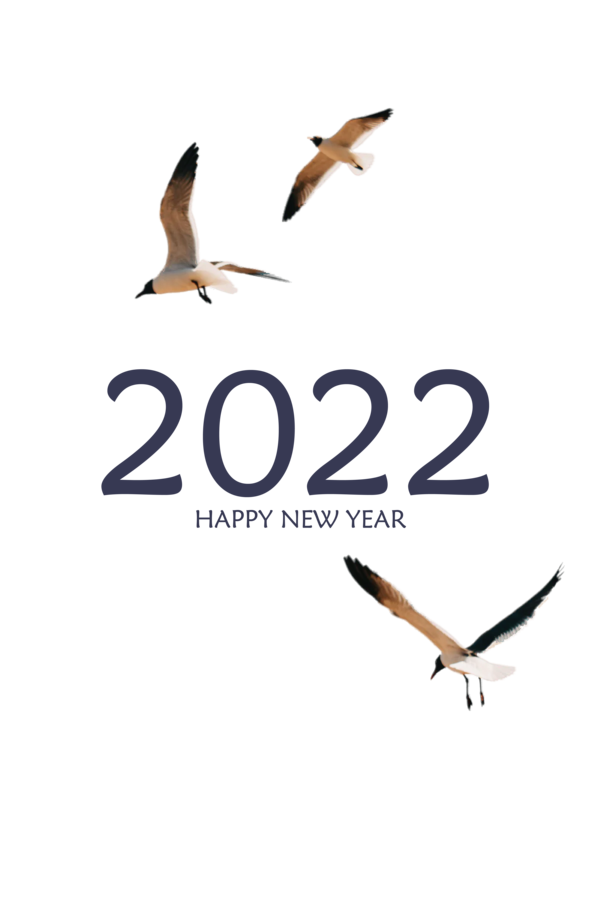 Transparent New Year Bird migration Seabird Logo for Happy New Year 2022 for New Year