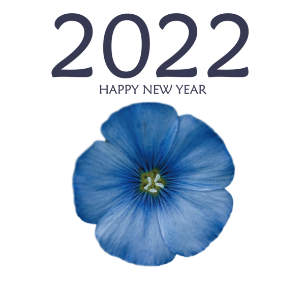 Transparent New Year Flower Pansy Violet for Happy New Year 2022 for New Year