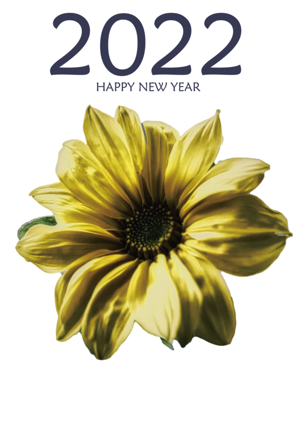 Transparent New Year Chrysanthemum Sunflower Seeds Cut flowers for Happy New Year 2022 for New Year