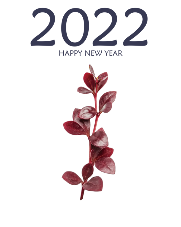 Transparent New Year Urdu poetry Poetry Marathi language for Happy New Year 2022 for New Year