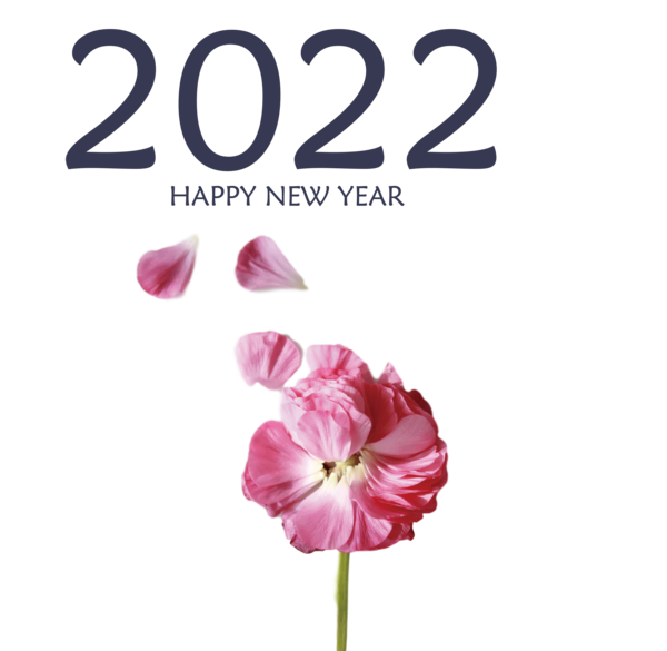 Transparent New Year Herbaceous plant Cut flowers Petal for Happy New Year 2022 for New Year