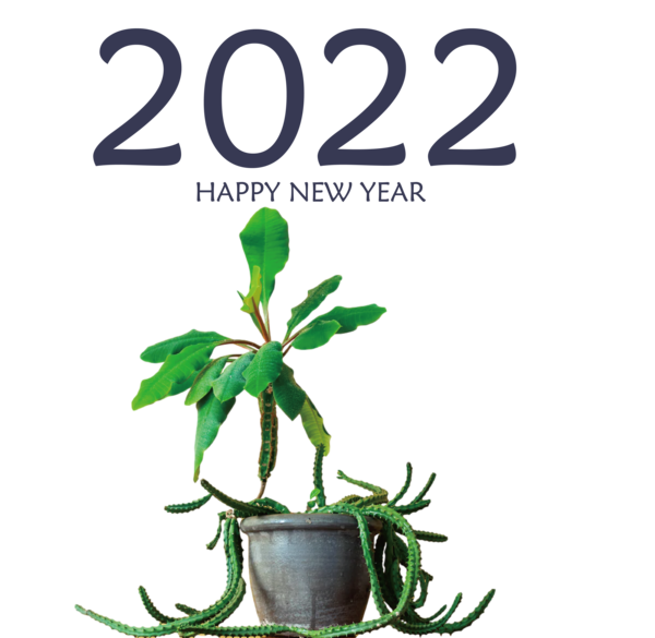 Transparent New Year Leaf Plant stem Flower for Happy New Year 2022 for New Year