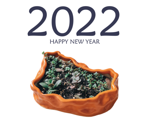 Transparent New Year stock.xchng Lobster for Happy New Year 2022 for New Year