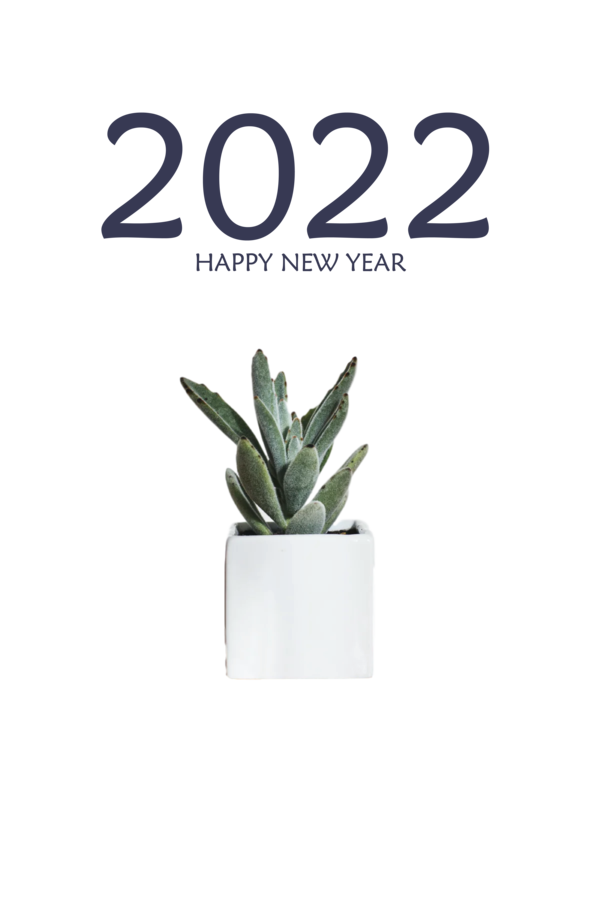 Transparent New Year Plant Flowerpot Font for Happy New Year 2022 for New Year