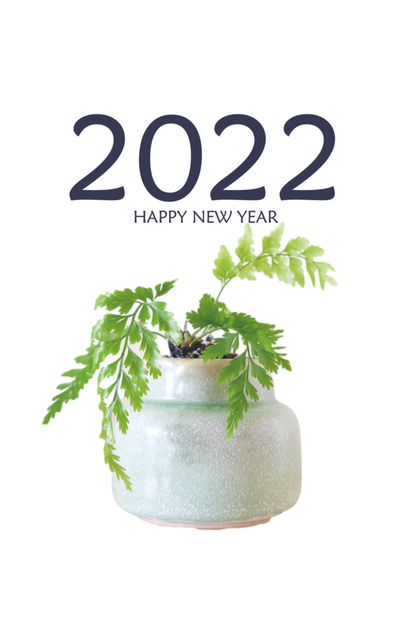Transparent New Year Herb Flowerpot Meter for Happy New Year 2022 for New Year
