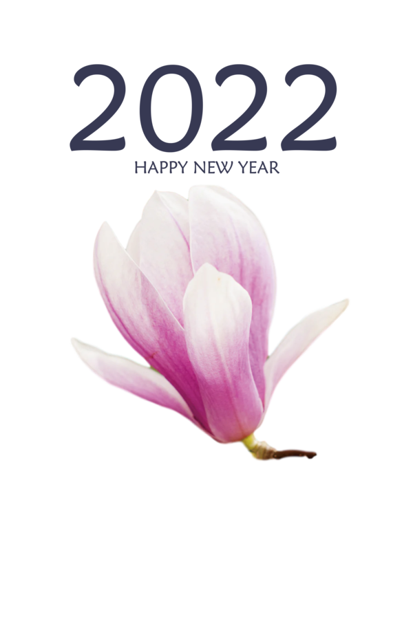 Transparent New Year Magnolia Flower Violet for Happy New Year 2022 for New Year