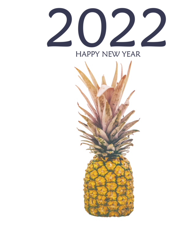 Transparent New Year Fruit Pineapple Fruit for Happy New Year 2022 for New Year