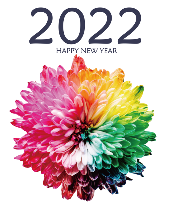 Transparent New Year The Chakra Project: How the Healing Power of Energy Can Transform Your Life Energy Color blindness for Happy New Year 2022 for New Year