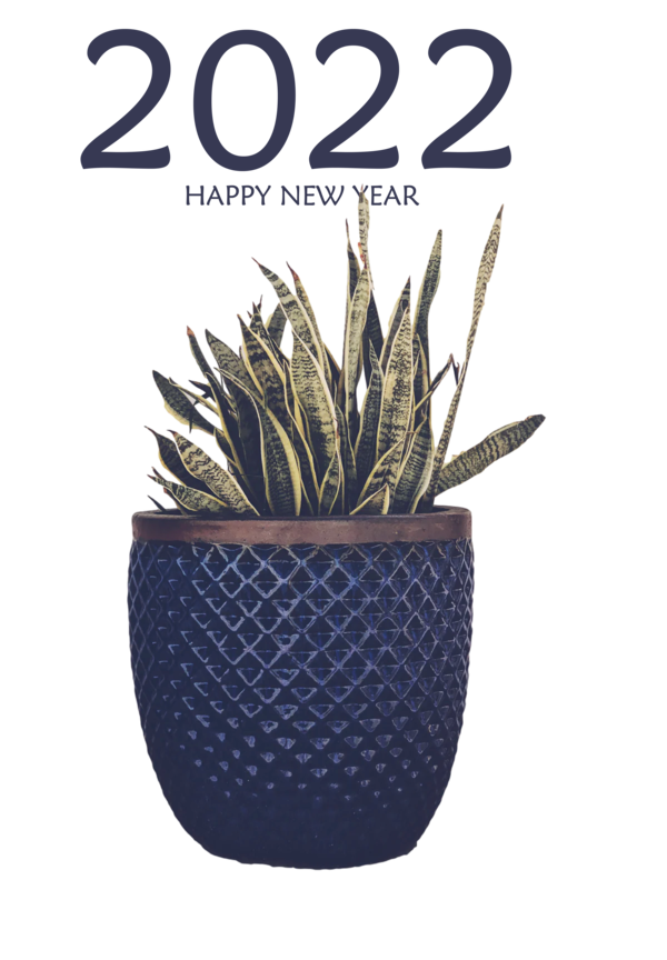 Transparent New Year Plant Flowerpot Design for Happy New Year 2022 for New Year