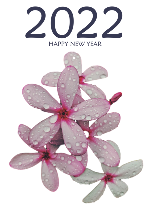 Transparent New Year Flower Petal Meter for Happy New Year 2022 for New Year