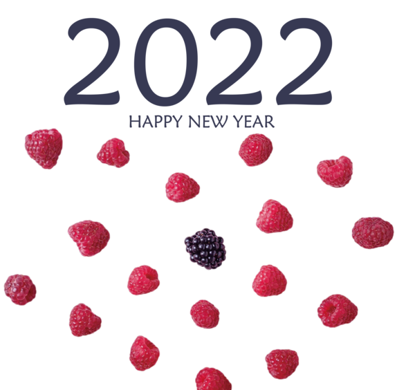 Transparent New Year Meter Font Magenta Telekom for Happy New Year 2022 for New Year