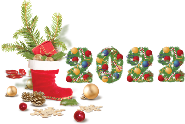 Transparent New Year Christmas Day Christmas decoration Natural food for Happy New Year 2022 for New Year