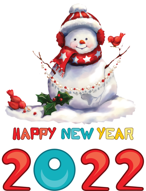 Transparent New Year Snowman Christmas Day Decorative Pillow for Happy New Year 2022 for New Year