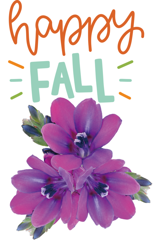 Transparent thanksgiving Flower Violet Floral design for Hello Autumn for Thanksgiving