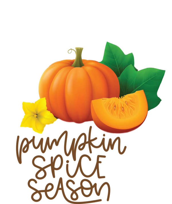 Transparent thanksgiving Pumpkin Pumpkin Seeds Thanksgiving for Thanksgiving Pumpkin for Thanksgiving