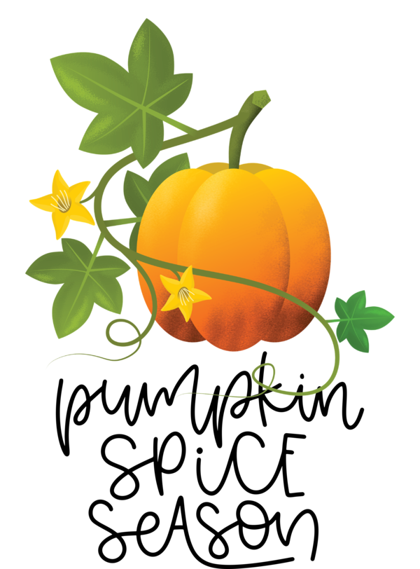 Transparent thanksgiving Poster Design Drawing for Thanksgiving Pumpkin for Thanksgiving