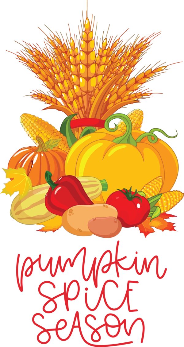 Transparent thanksgiving Festival Cartoon for Thanksgiving Pumpkin for Thanksgiving