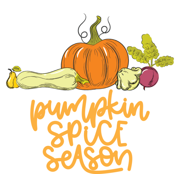 Transparent thanksgiving Cartoon Design Fruit for Thanksgiving Pumpkin for Thanksgiving