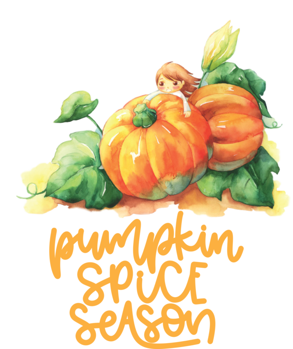 Transparent thanksgiving Pumpkin Pumpkin Seeds Drawing for Thanksgiving Pumpkin for Thanksgiving