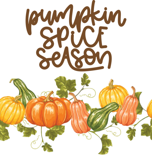 Transparent thanksgiving Pumpkin Vegetarian cuisine Vegetable for Thanksgiving Pumpkin for Thanksgiving