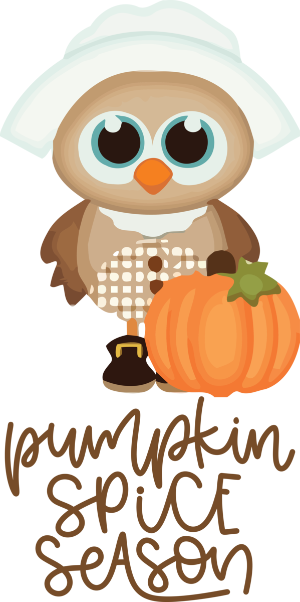 Transparent thanksgiving Owls Birds Cartoon for Thanksgiving Pumpkin for Thanksgiving