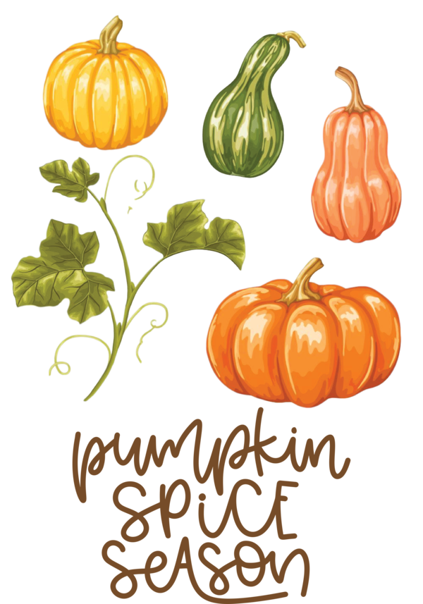 Transparent thanksgiving Drawing Poster for Thanksgiving Pumpkin for Thanksgiving