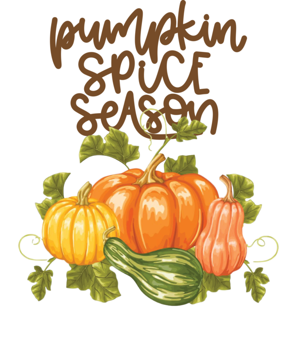 Transparent thanksgiving Pumpkin Vegetable for Thanksgiving Pumpkin for Thanksgiving
