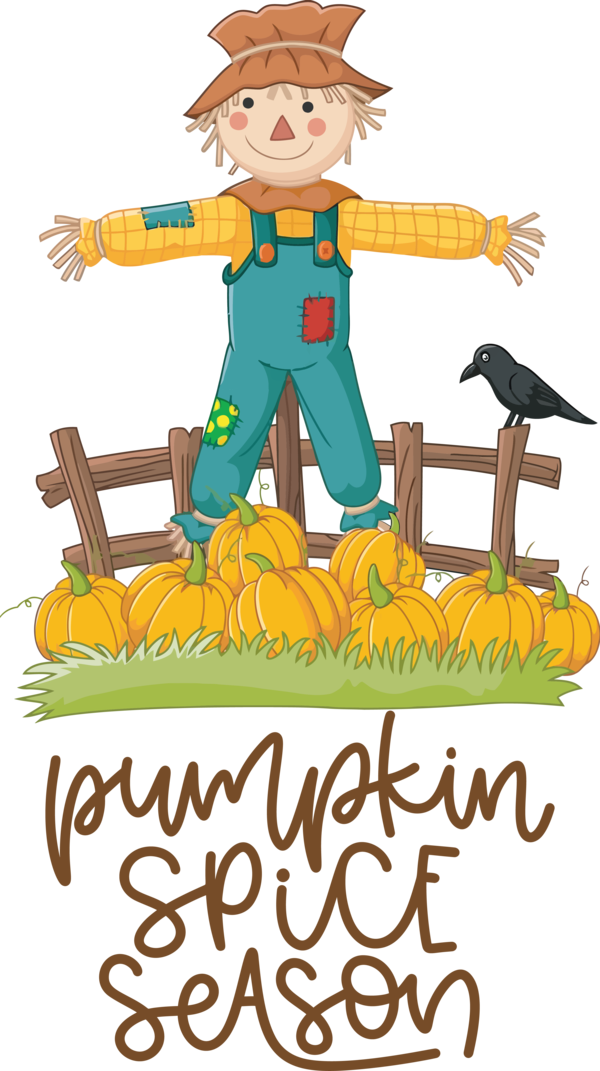 Transparent thanksgiving Drawing Cartoon Scarecrow for Thanksgiving Pumpkin for Thanksgiving