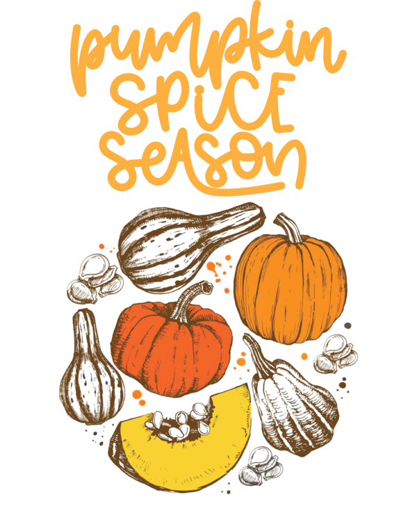 Transparent thanksgiving Cartoon Drawing Pumpkin for Thanksgiving Pumpkin for Thanksgiving