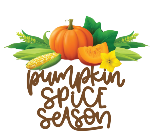 Transparent thanksgiving Squash Winter squash Natural food for Thanksgiving Pumpkin for Thanksgiving