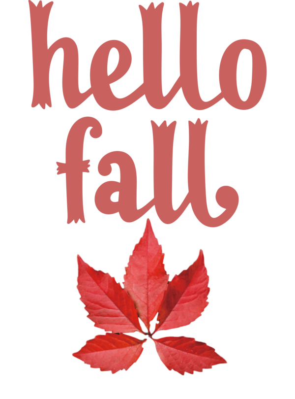 Transparent Thanksgiving Leaf Logo Font for Hello Autumn for Thanksgiving