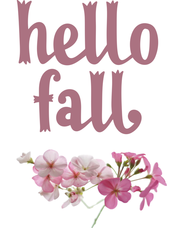 Transparent Thanksgiving Autumn Flower Floral design for Hello Autumn for Thanksgiving