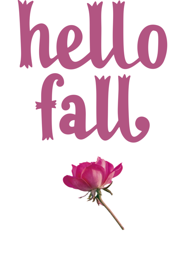 Transparent Thanksgiving Cut flowers Logo Floral design for Hello Autumn for Thanksgiving