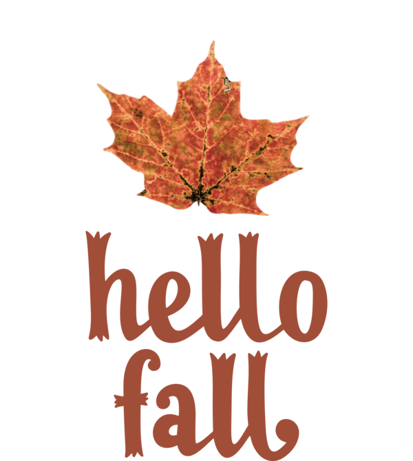 Transparent Thanksgiving Autumn Flower Drawing for Hello Autumn for Thanksgiving
