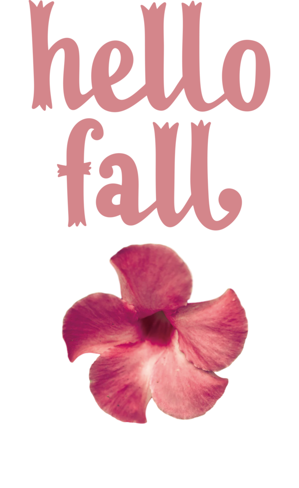Transparent Thanksgiving Cut flowers Floral design Petal for Hello Autumn for Thanksgiving