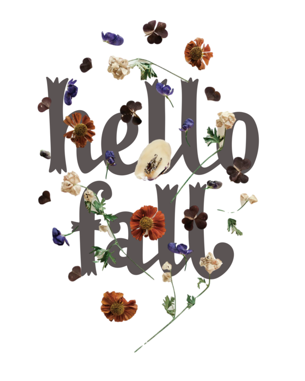 Transparent Thanksgiving Floral design Flower Font for Hello Autumn for Thanksgiving
