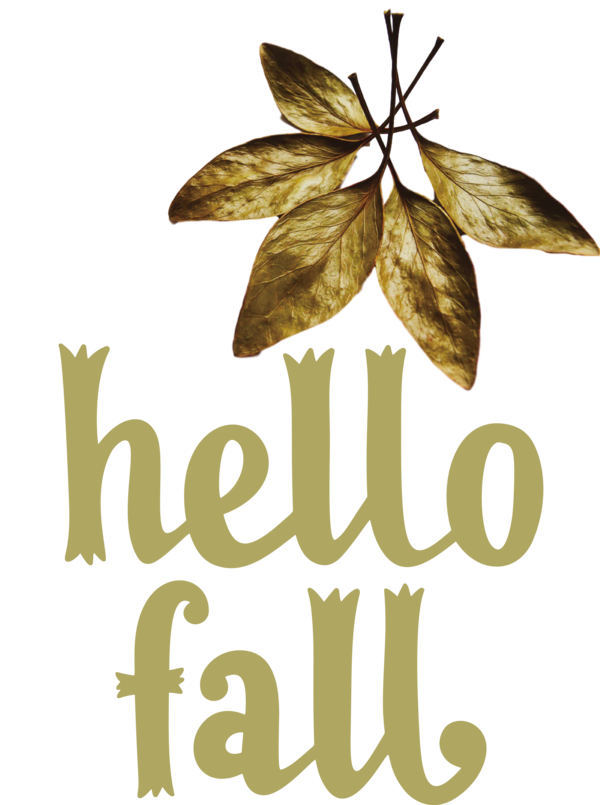 Transparent Thanksgiving Logo Font Leaf for Hello Autumn for Thanksgiving