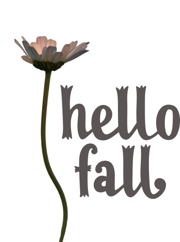 Transparent Thanksgiving Plant stem Flower Logo for Hello Autumn for Thanksgiving