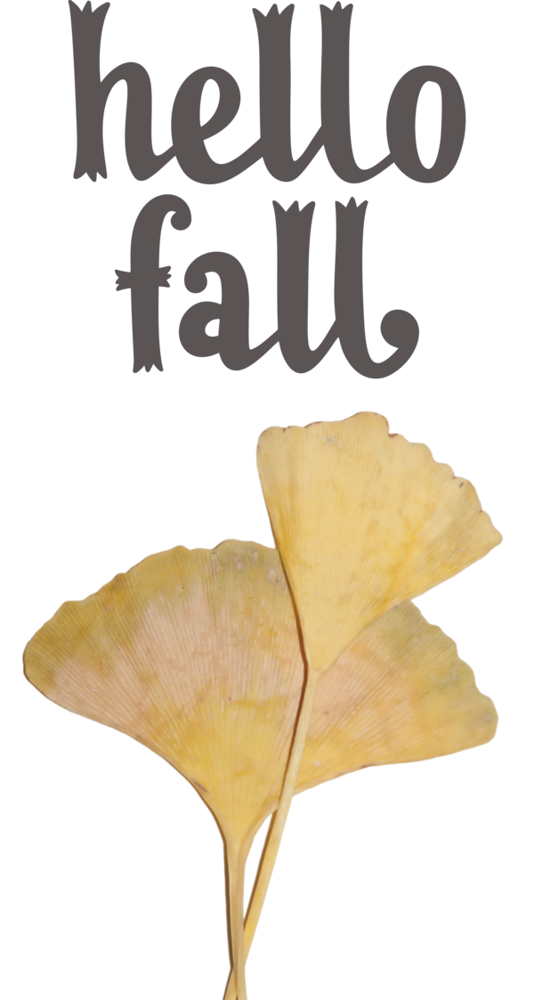 Transparent Thanksgiving Leaf Petal Font for Hello Autumn for Thanksgiving