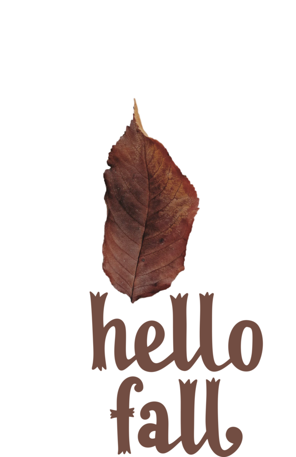 Transparent Thanksgiving Leaf Font Meter for Hello Autumn for Thanksgiving
