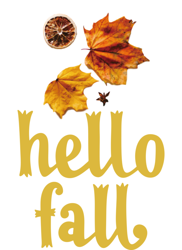 Transparent Thanksgiving Leaf Yellow Meter for Hello Autumn for Thanksgiving