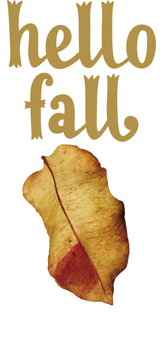 Transparent Thanksgiving Leaf Font Meter for Hello Autumn for Thanksgiving