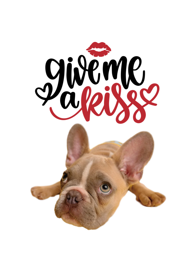 Transparent International Kissing Day French Bulldog Bulldog Puppy for World Kiss Day for International Kissing Day