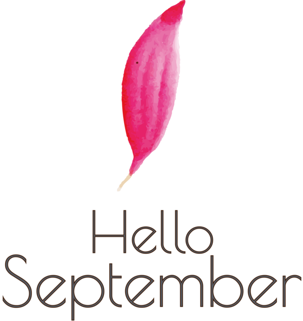 Transparent thanksgiving Logo Font Petal for Hello September for Thanksgiving
