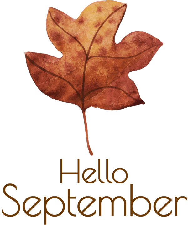 Transparent thanksgiving Leaf Watercolor painting Vector for Hello September for Thanksgiving