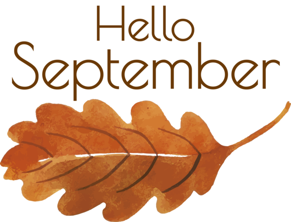 Transparent thanksgiving Leaf Font Produce for Hello September for Thanksgiving